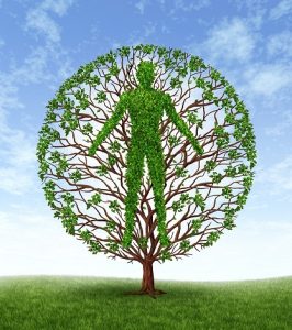 Human growth and development and personality development as a medical symbol of health as a tree with branches and green leaves in the shape of a persons anatomical body on a blue sky.